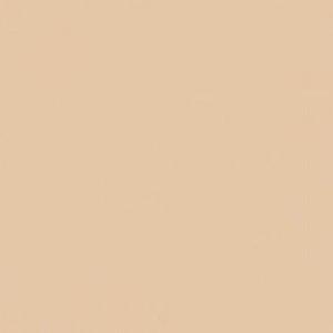 Paint and Paper Library Plaster II Paint